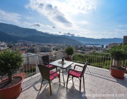 APARTMENTS MILOVIC, private accommodation in city Budva, Montenegro - DSC_8686